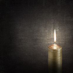 Similar image 7255122