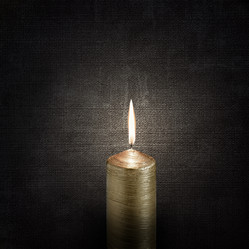 Similar image 7255125