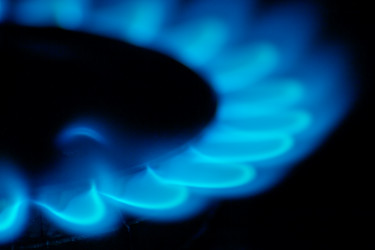 Similar image 7255198