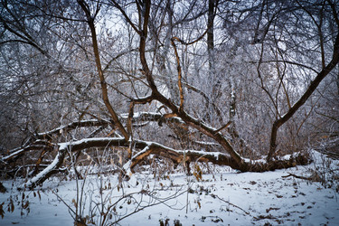 Similar image 7255264