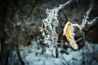 Similar image 7255265