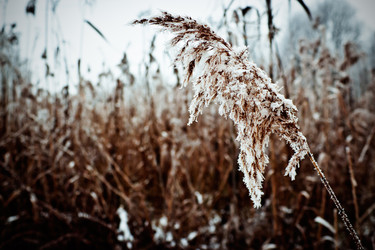 Similar image 7255268