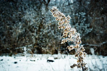 Similar image 7255269