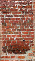 Similar image 7255299