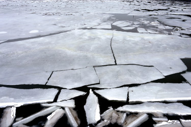 Similar image 7255329