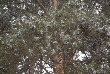 Similar image 7255383