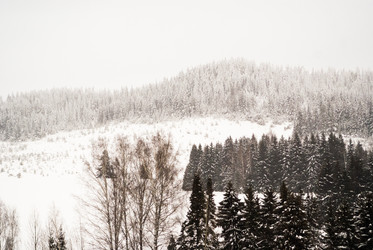 Similar image 7255384