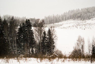 Similar image 7255385