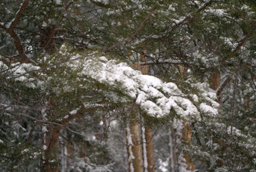 Similar image 7255386