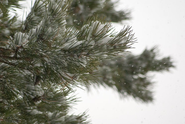 Similar image 7255387