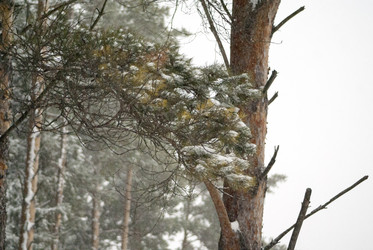 Similar image 7255388