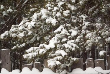 Similar image 7255389