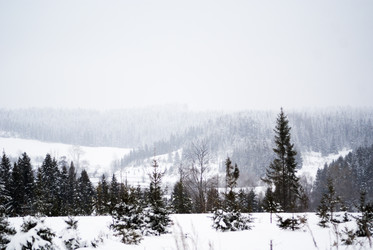 Similar image 7255391