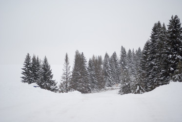 Similar image 7255393