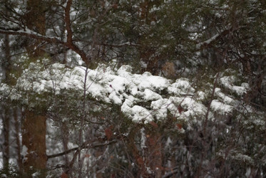 Similar image 7255394