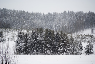 Similar image 7255397