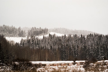 Similar image 7255400