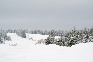 Similar image 7255406