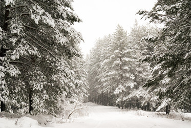 Similar image 7255407