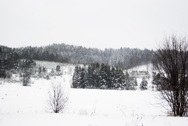 Similar image 7255412