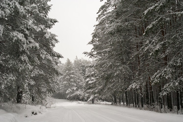 Similar image 7255413