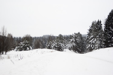 Similar image 7255427