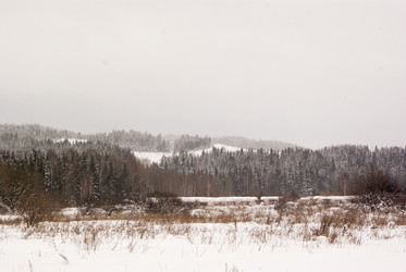 Similar image 7255436