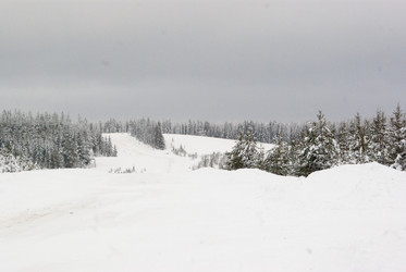 Similar image 7255439