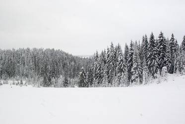 Similar image 7255442