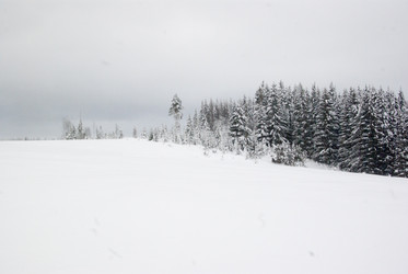 Similar image 7255443