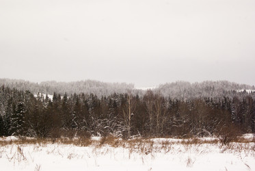 Similar image 7255445