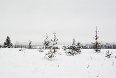 Similar image 7255446