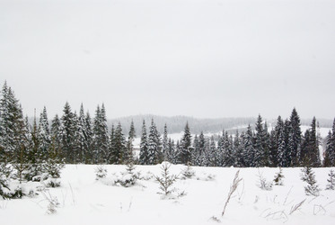 Similar image 7255448