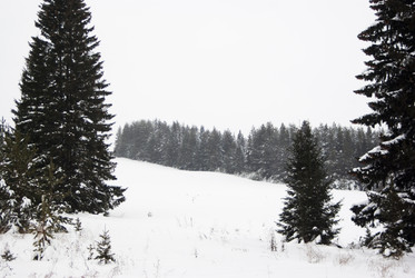 Similar image 7255451