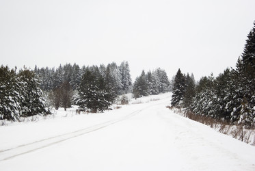 Similar image 7255453