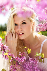 Similar image 7255473