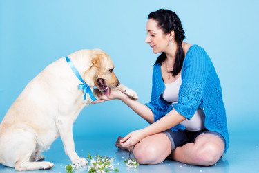 Similar image 7255480