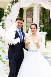 Similar image 7255482