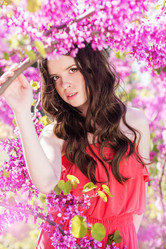 Similar image 7255504