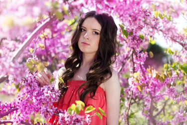 Similar image 7255509