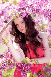 Similar image 7255527