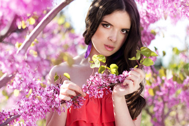 Similar image 7255539