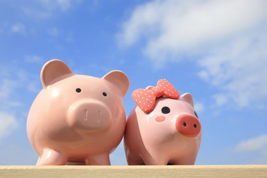 Similar image 7255657