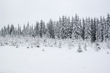 Similar image 7255718