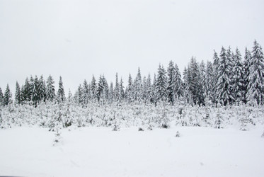 Similar image 7255719