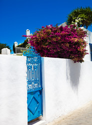 Similar image 7255860