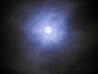 Similar image 7256446