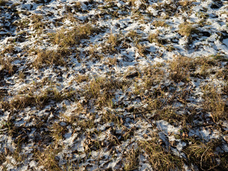 Similar image 7256461