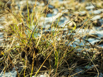 Similar image 7256462