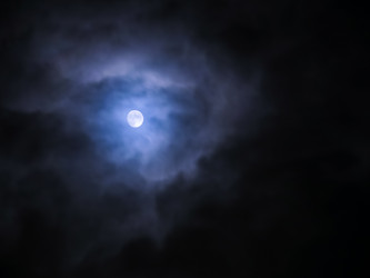 Similar image 7256492